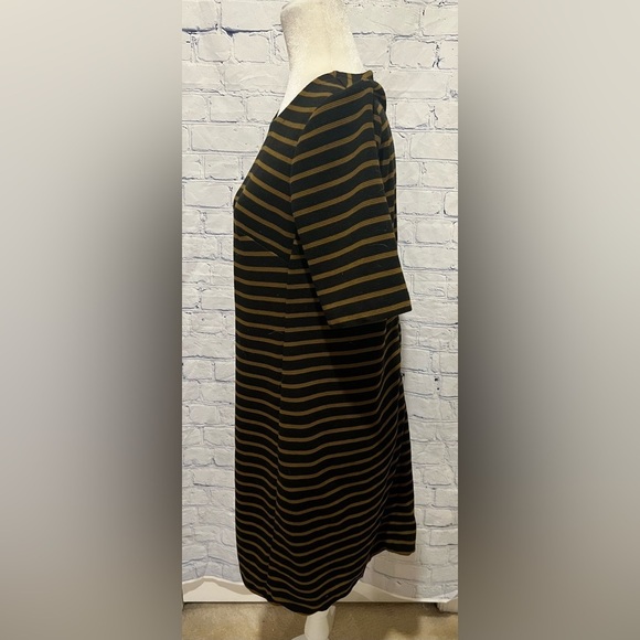 ANN TAYLOR LOFT Women's Black & Brown Striped Dress Size Medium - Picture 4 of 7